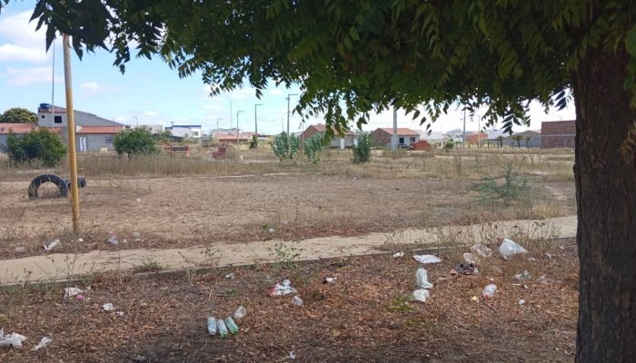 Comunidade do Loteamento Rocha solicita mutirão de limpeza urgente