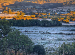 Região Sul enfrenta segundo dia de temperaturas abaixo de zero