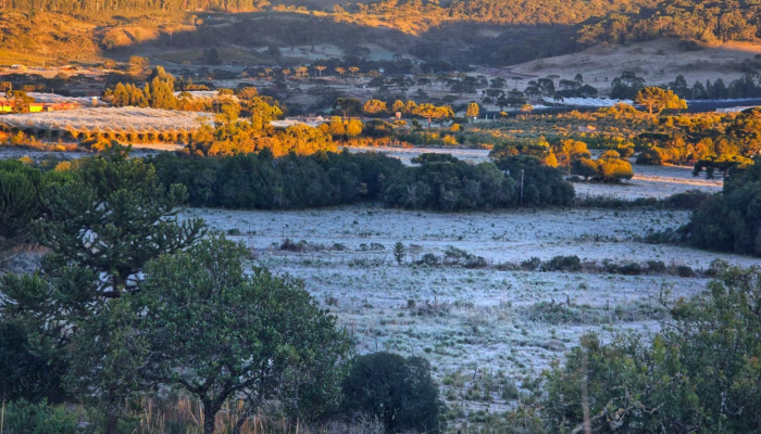 Região Sul enfrenta segundo dia de temperaturas abaixo de zero