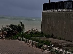 Problemas de limpeza urbana e saúde preocupam moradores de Paulista