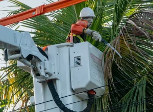 Interrupção de energia afeta Lago Norte e Sudoeste nesta segunda-feira