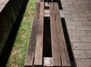 Parque das Graças enfrenta problemas de manutenção após inauguração