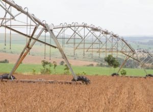 PIB do Brasil cresce 0,5% no segundo trimestre de 2026, aponta IBGE