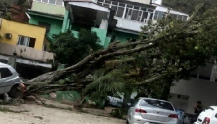 RJ e SP enfrentam ventos moderados após tempestades fatais