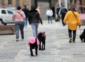 São Paulo registra dia mais frio do ano com temperatura máxima à meia-noite