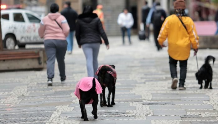 São Paulo registra dia mais frio do ano com temperatura máxima à meia-noite
