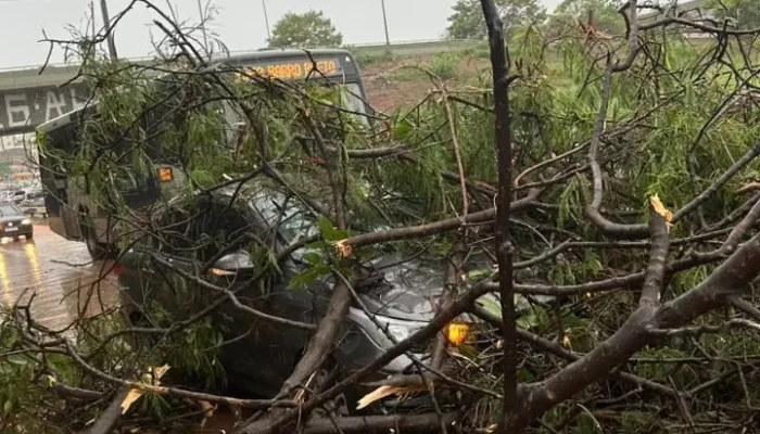 Tempestades em Minas Gerais causam ventos de 150 km/h e afetam votação