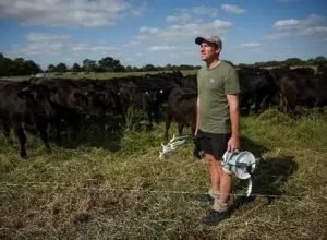 Transformação agrícola no Reino Unido: Resiliência em meio ao clima extremo