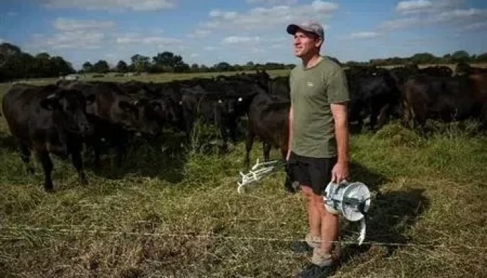 Transformação agrícola no Reino Unido: Resiliência em meio ao clima extremo