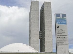 Veterinária atacada por cão no Senado recebe atendimento em Brasília